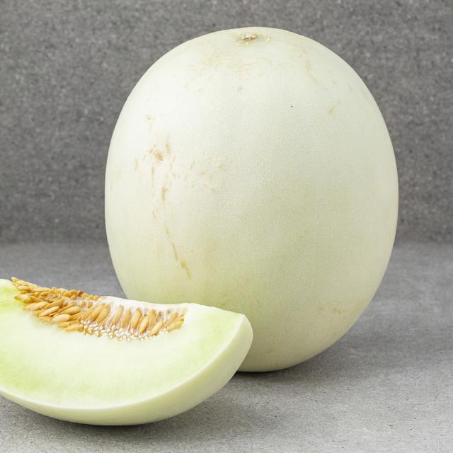  로켓프레시 미국산 허니듀 메론 1입 1.6kg 이상 중 