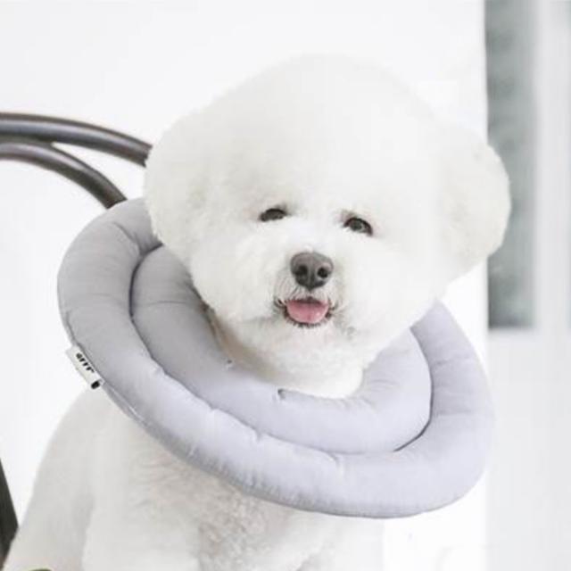 아르르 UFO 강아지 넥카라 그레이 S, 220g, 1개