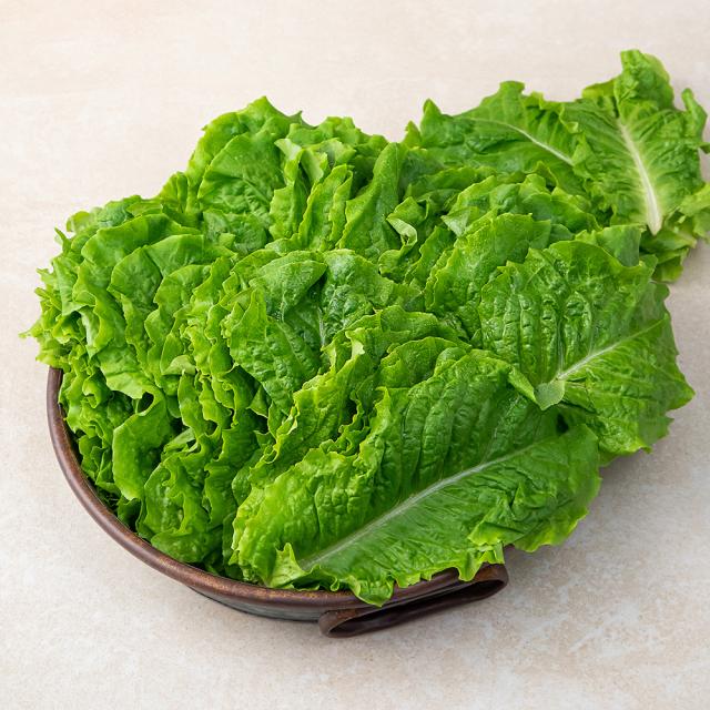 청상추 국내산, 1kg, 1개