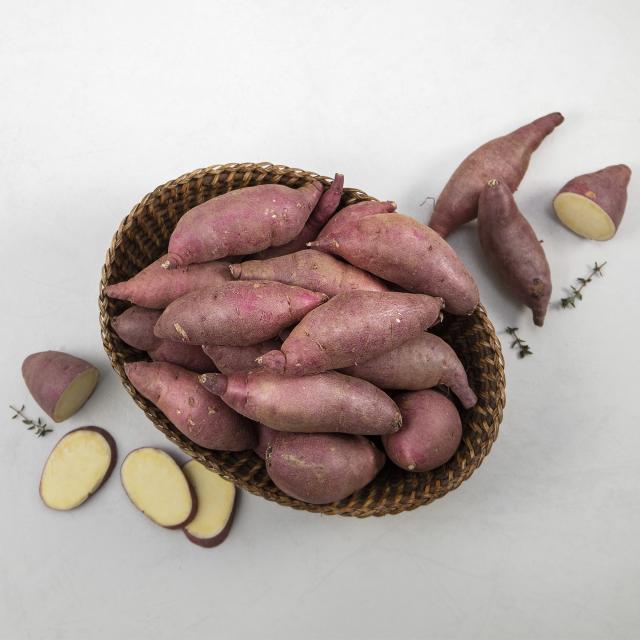 곰곰 맛있는 햇 밤고구마 한입사이즈, 1.5kg, 1봉