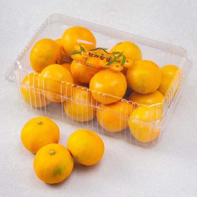탐라황감 당도선별 서귀포 하우스감귤 1.5kg 1팩