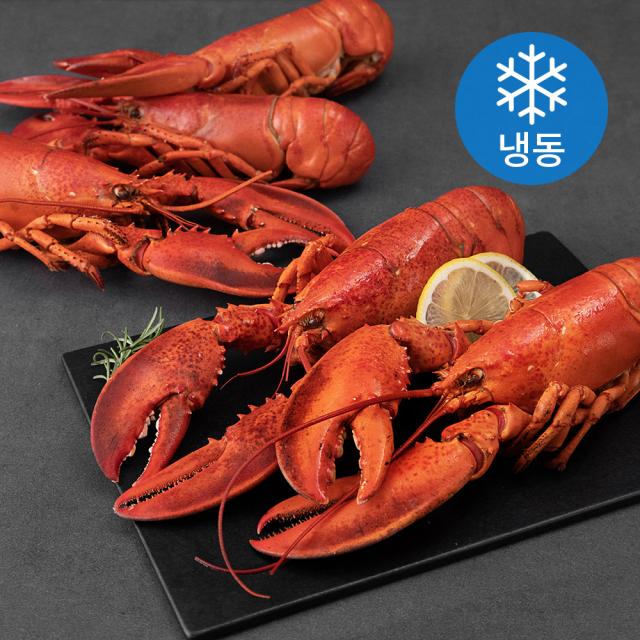 [쿠팡 직수입] 캐나다산 바닷가재 자숙 대 5입 (냉동), 2kg, 1박스