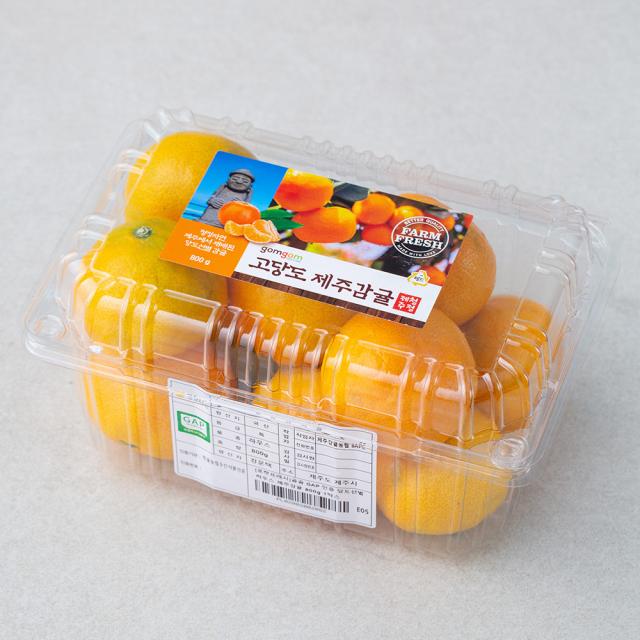 곰곰 GAP 인증 당도선별 하우스 제주감귤, 800g, 1박스
