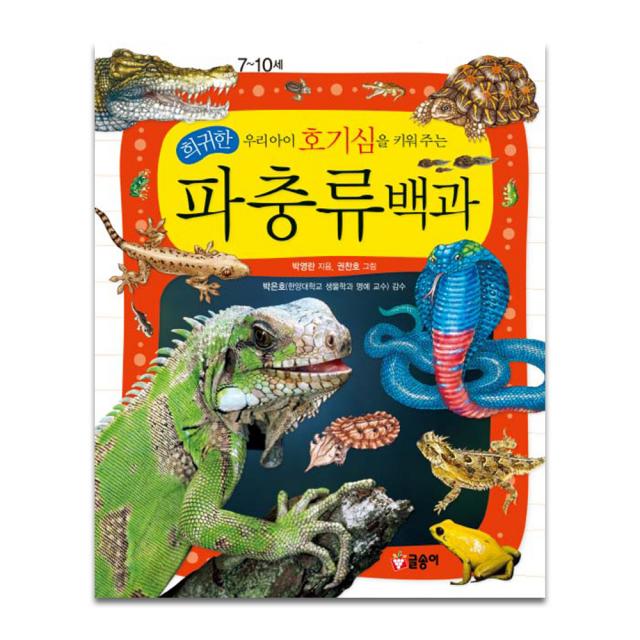 우리아이 호기심을 키워 주는 희귀한 파충류백과, 글송이