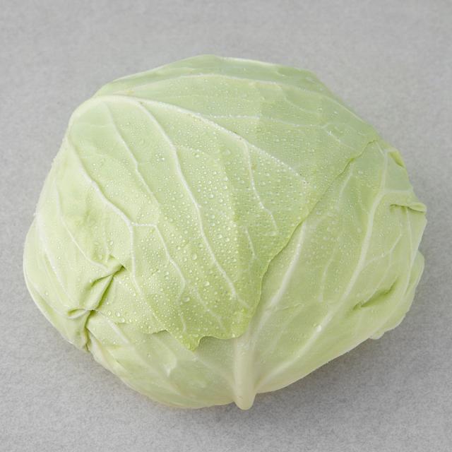 친환경 인증 국내산 양배추 1.2kg 1통