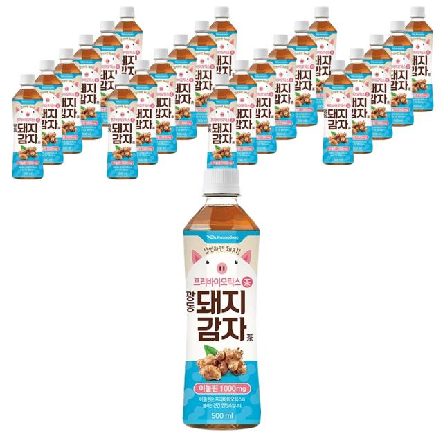 광동 돼지감자차, 500ml, 24개