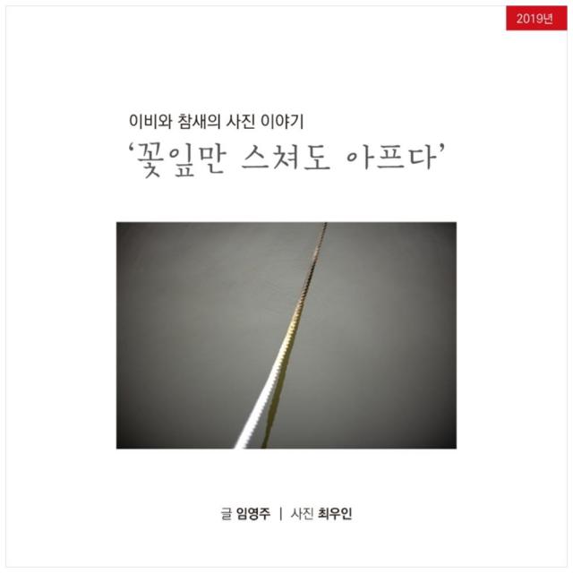 이비와 참새의 사진이야기: 꽃잎만 스쳐도 아프다, 참비, 임영주