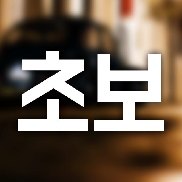 우아한달팽이 대형초보 자동차 스티커 White 1개