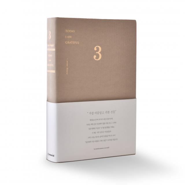 It Diary 3년 일기장 브라운 1개