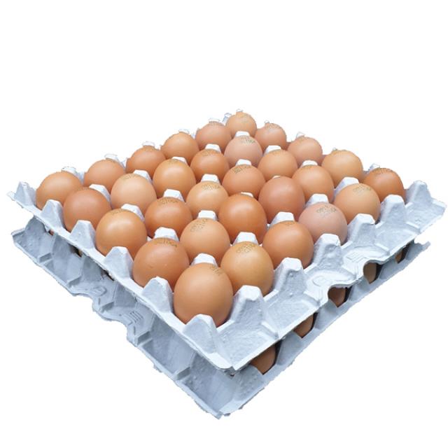 (100% 파손보상) 푸드번창 친환경 무항생제 신선 계란 30+30구 2판 농장직영 달걀 당일출고