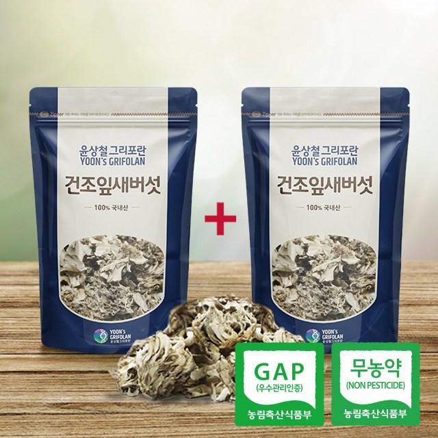 윤상철그리포란 최상급 건조 잎새버섯 100g+100g 무농약살균 차 요리용 1개 200g