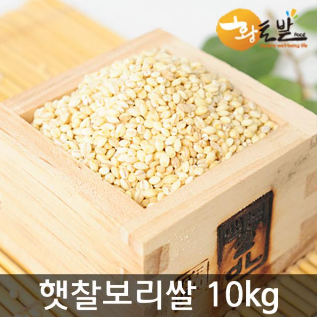 [황토밭푸드] 22년산 국내산 100% 햇 찰보리쌀 4kg-10kg, 1개, 10kg