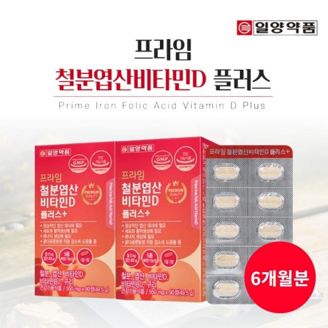 여성 남성 부모님 중년 노년기 철 결핍성 어지러움 어지러울때 먹는 좋은 철분 엽산 비타민d 구리 복합 영양제, 2BOX(6개월분)