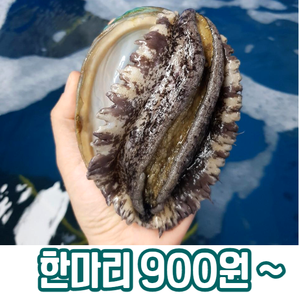 (완도건강한전복) 한마리씩 담아보세요. 900원부터~, 1. 소전복 30g내외/1마리