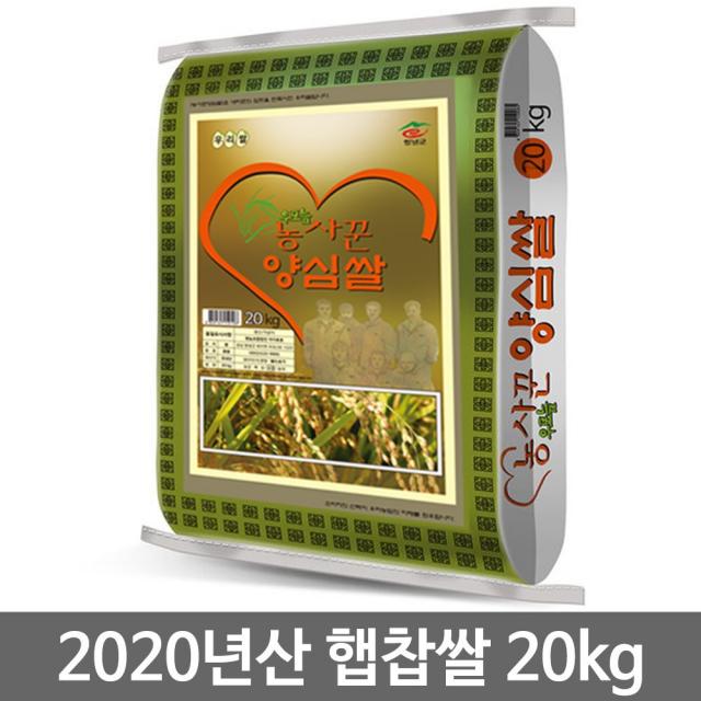 농사꾼 양심쌀 2020년 햅찹쌀 20kg 찹쌀 찹쌀백미, 1포