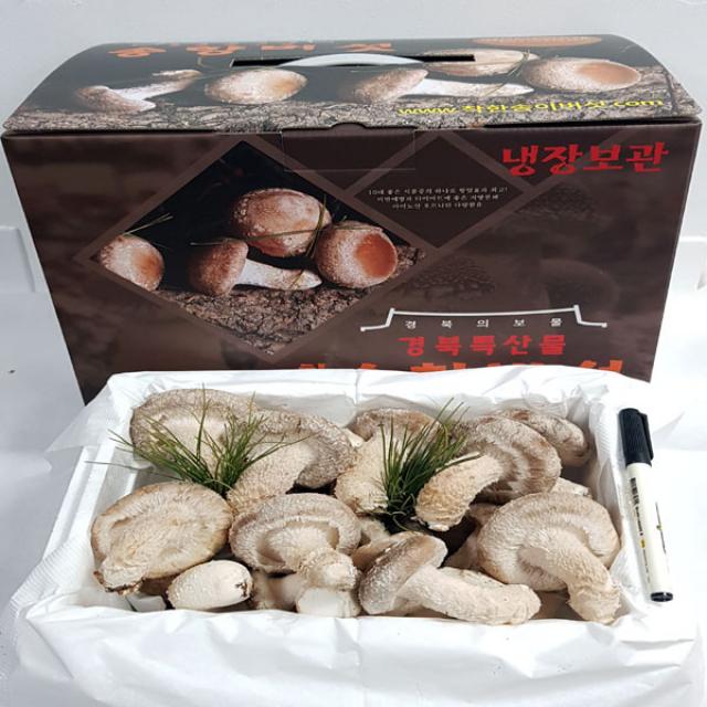 [산지직송]착한송이송향버섯 오전11시전주문시 내일도착(주말 및 공휴일 제외), 1box, 실속형500g