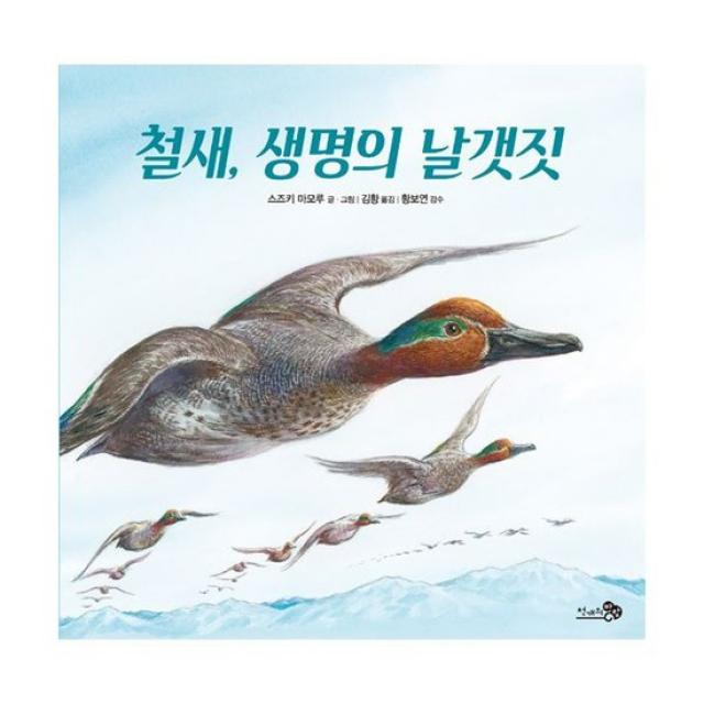 철새 생명의 날갯짓