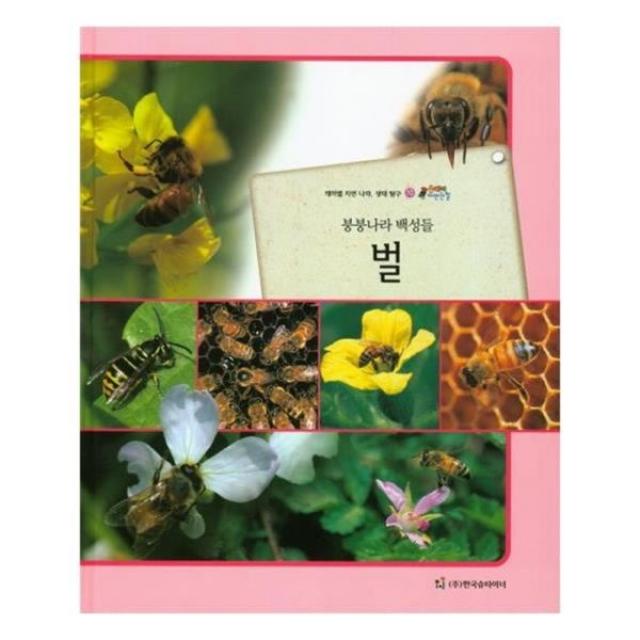 유니오니아시아 올빼미 자연관찰 10 붕붕나라 백성들 벌 곤충류