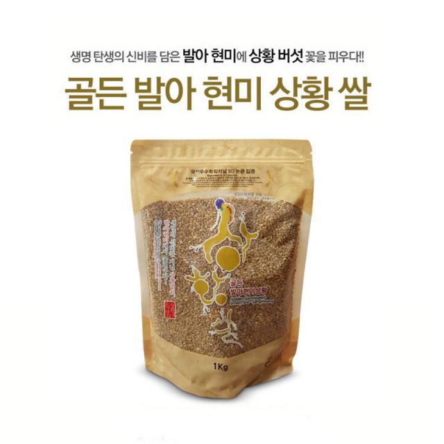 [CARI] 골든 발아현미 상황쌀 특허기술 SCI논문으로 효능 입증 상황버섯쌀 1KG, 1봉