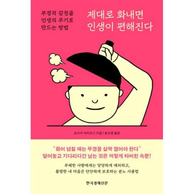 제대로 화내면 인생이 편해진다 : 부정적 감정을 인생의 무기로 만드는 방법