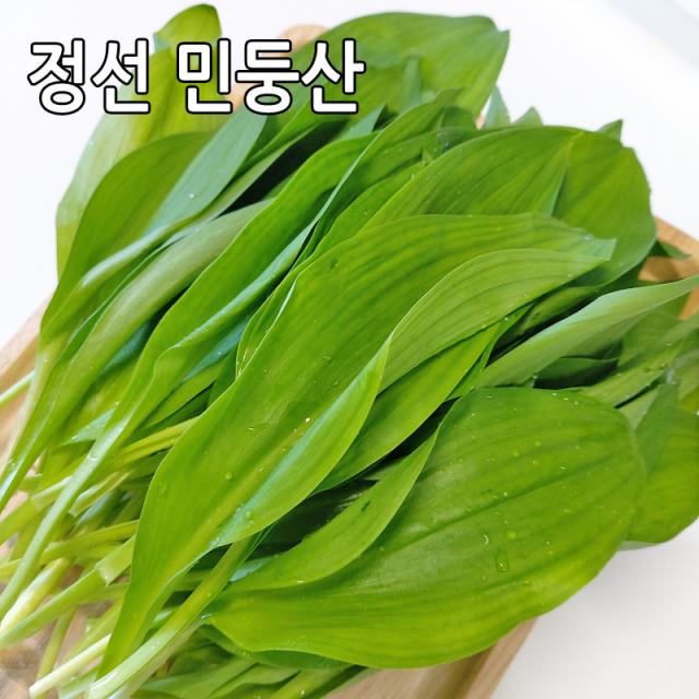 산마늘 명이나물 강원도 정선 민둥산 노지재배 산나물, 산마늘(명이나물) 2kg