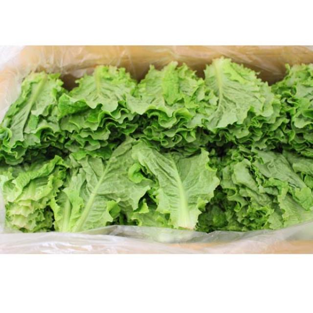 청상추 2kg1박스 자연대로팜웨이, 청상추2kg