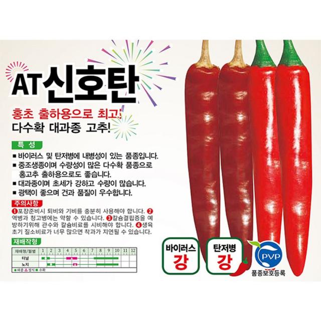 아시아종묘 AT신호탄 고추 씨앗 1200립 대과종 다수확 채소씨종자 고추씨 고추씨앗, 70000개