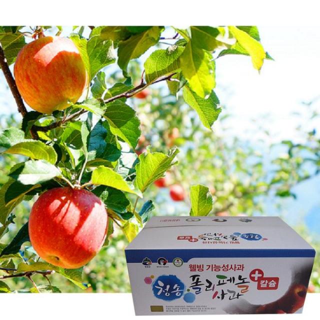 [9월5일 오전9시까지 주문시 명절전배송]청송 폴리페놀 사과 세트 8kg 42-48과, 단일상품