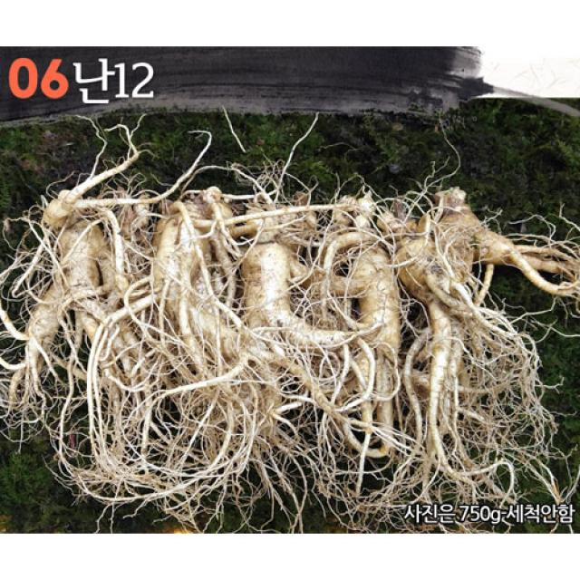 삼키우는마을 고려수삼 세척 무세척 수삼 가정용 06.난12 750g 무료세척