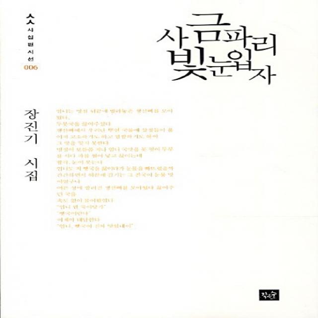 사금파리빛눈입자:장진기 시집, 작은숲