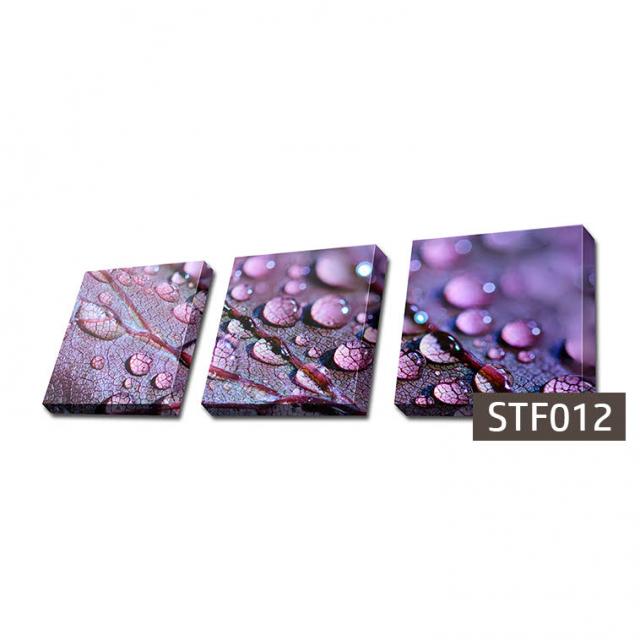 몽차 3분할 캔버스액자 정사각형, STF012