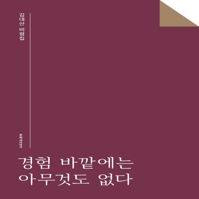 경험 바깥에는 아무것도 없다, 문학과지성사, 김대산