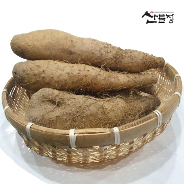 안동마 참마 마사토 산마 5kg, 3kg [산지직송] 마 안동참마 생마 / 산들정, 1box, 07. 안동 산마 5kg (상)