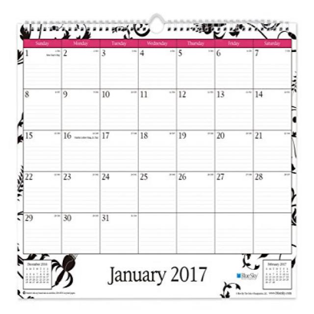 Blue Sky 2017 Monthly Wall Calendar Wire-O Binding 15” x 12” Analeis (19559) Blue Sky 2017 월별 달력, 1