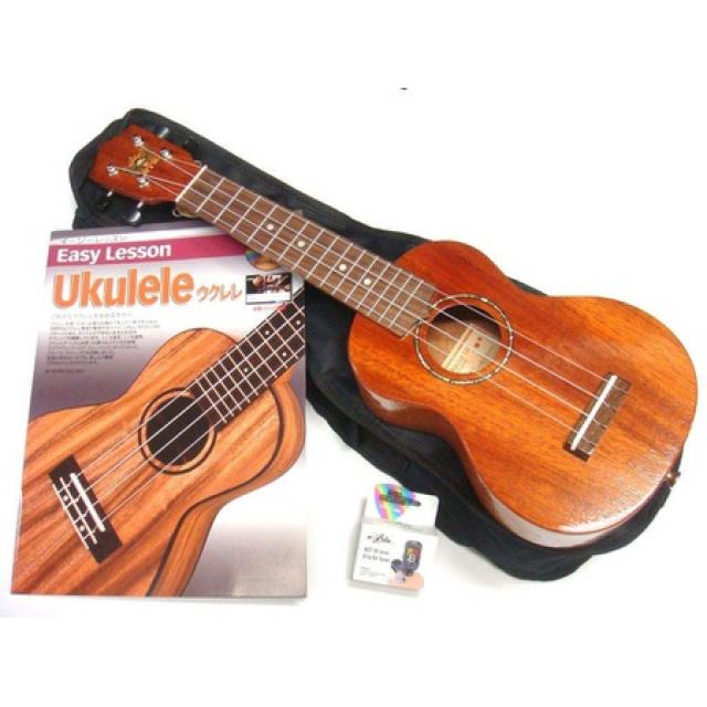 [튜너 케이스 DVD 첨부 교칙 본 선택] 우쿨렐레 초보자 세트 ARIA ALH-1 마호가니 단판 사모 처리 소프, One Size