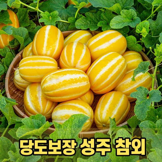 당도보장 성주 참외 산지직송 꿀참외 선물용 참외 2kg 3kg 5kg 10kg