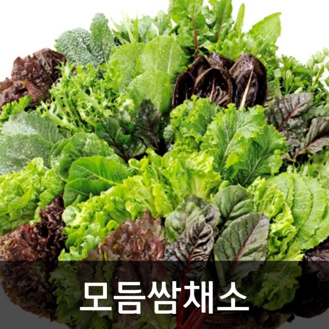 약수농장 모듬쌈채소 2kg, 1박스, 2kg