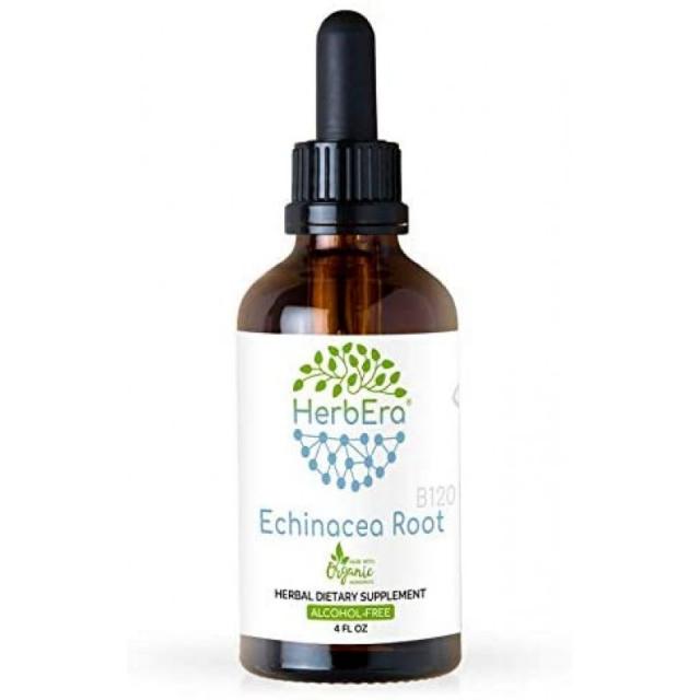 Echinacea Root B120 무 알코올 허브 추출물 팅크 초 농축 책임있는 유기농 에키 네시아 (Echinacea Pur, 1