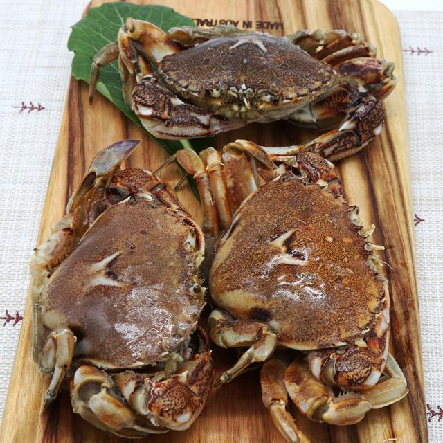 국내산 황게 1kg 4~6마리 딱새우 1kg 소라게발 1개