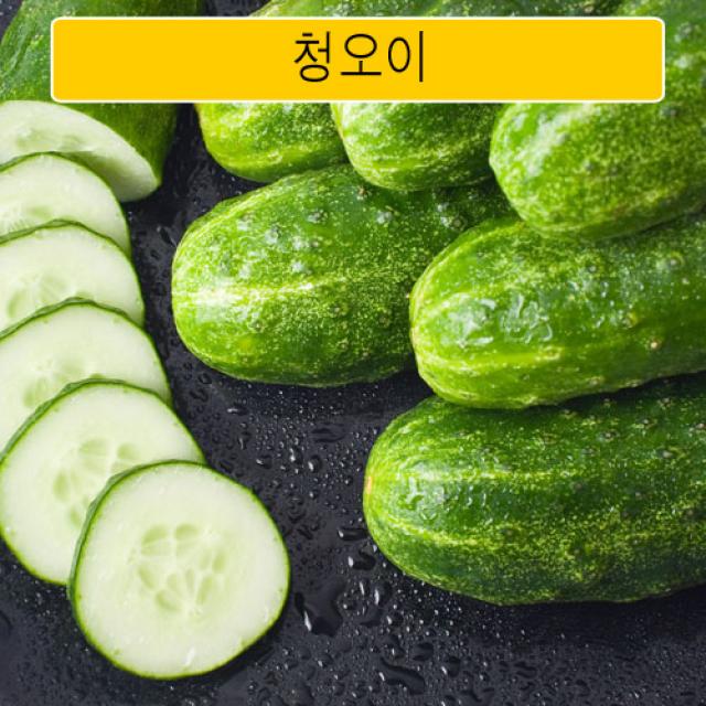 국내산 청오이 상 10개 25개 50개, 1box, 2kg 10개