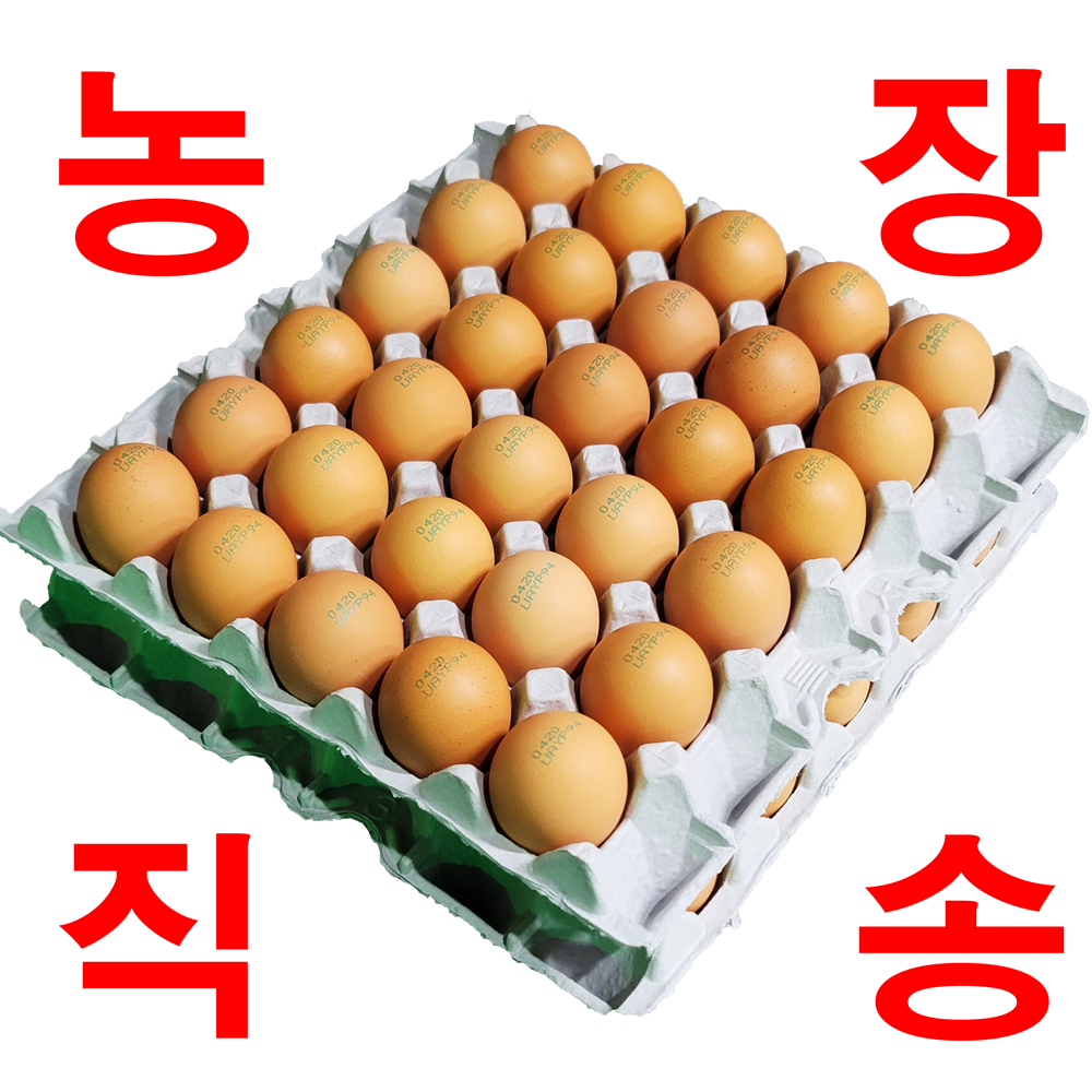 [묵동농장]무항생제 HACCP인증 바른계란 30구+30구 총60구 특란,대란,중란,초란 중 택2