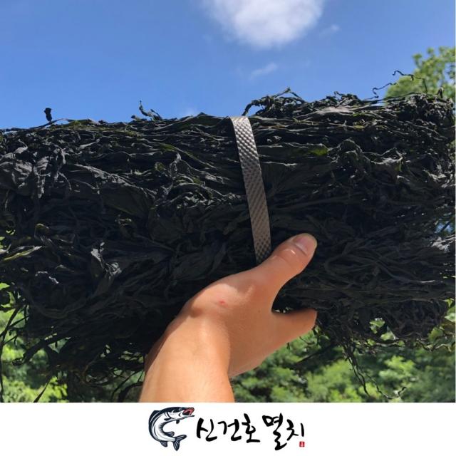 신건호멸치 완도산 햇 건미역 500g 산모미역 1팩