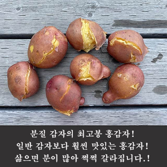 햇살조은 국내산 카스테라 햇 홍감자