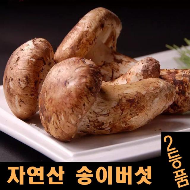 진심좋은 2022년 자연산 송이 버섯 자연 송이버섯 1kg, 1box, 2등급8cm이상 500g