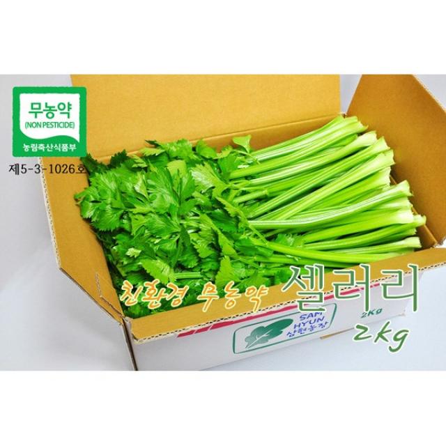 삼현농장 친환경 무농약 다용도 셀러리 2kg 당일수확발송 오전10시 주문분까지 1box