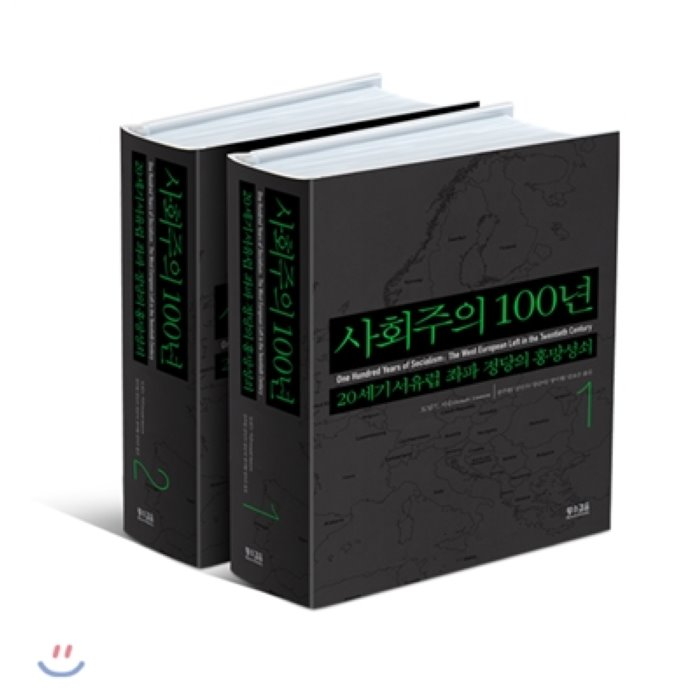 사회주의 100년 1 2 세트 : 20세기 서유럽 좌파 정당의 흥망성쇠 황소걸음