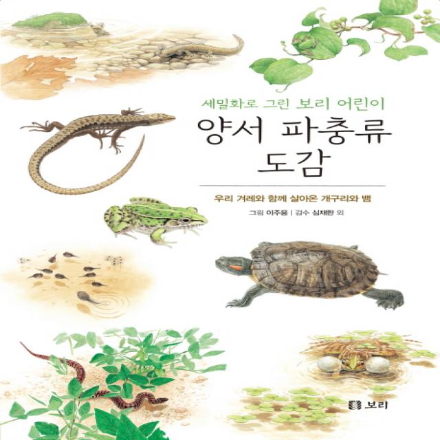 양서 파충류 도감 보리