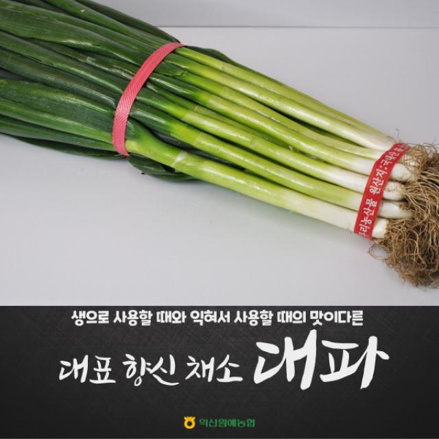 [익산원예농협] 건강한 국내산 대파 1단 (2kg / 4kg 내외), 4kg내외 큰단 1단