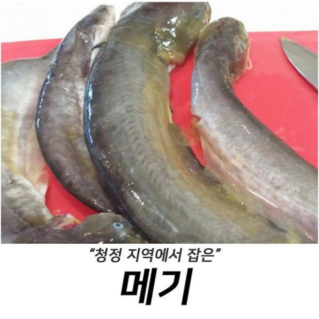 청정지역에서 잡아 내장손질한 민물메기 1kg 장어구이 민물고기 건어물 수산 lhvu, 1개