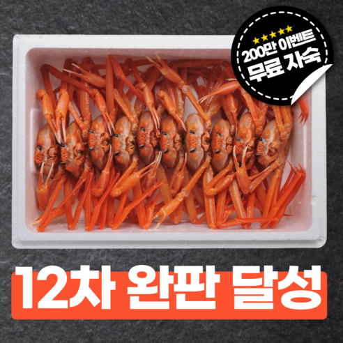 산지직송 홍게 자숙 킹크랩 대게 꽃게 주문진 라면 연지 박달 후포리 3kg 5kg 속초 붉은 몸통 영덕 시세 싯가 다리, 구룡포 싱싱홍게 육수/국물용 10미